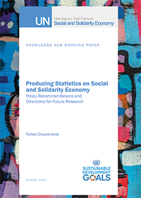 Producing Statistics on Social and Solidarity Economy: Policy Recommendations and Directions for Future Research